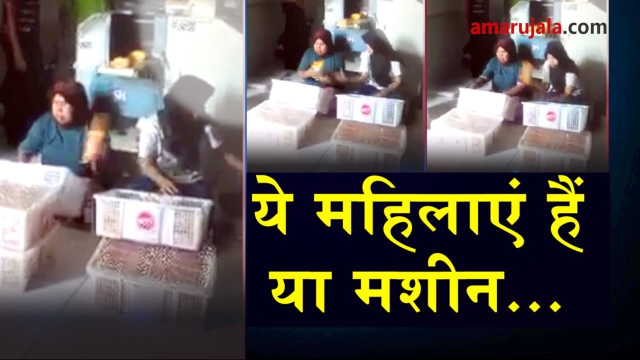 प्रतीकात्मक तस्वीर