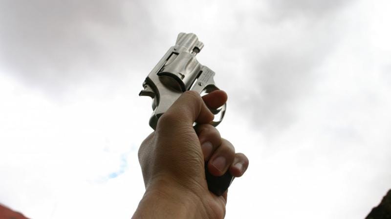 the gun license will be canceled if firing in the marriage party 