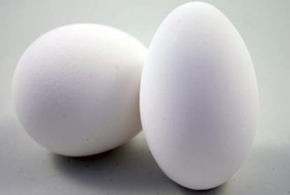 Know about those special eggs which has cancer fighting treatment with its protein