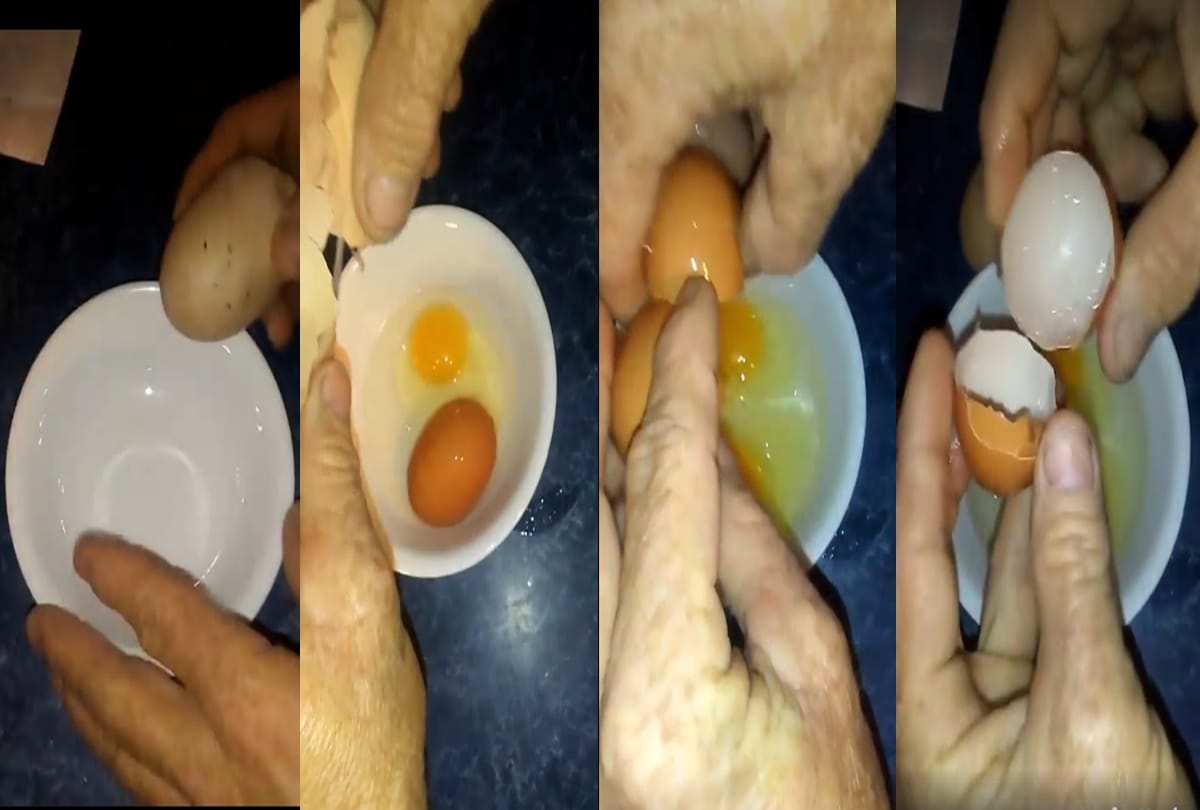 video being viral of miracle egg