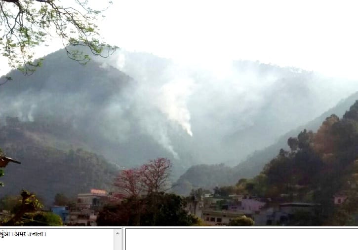 fire in tyunara forests