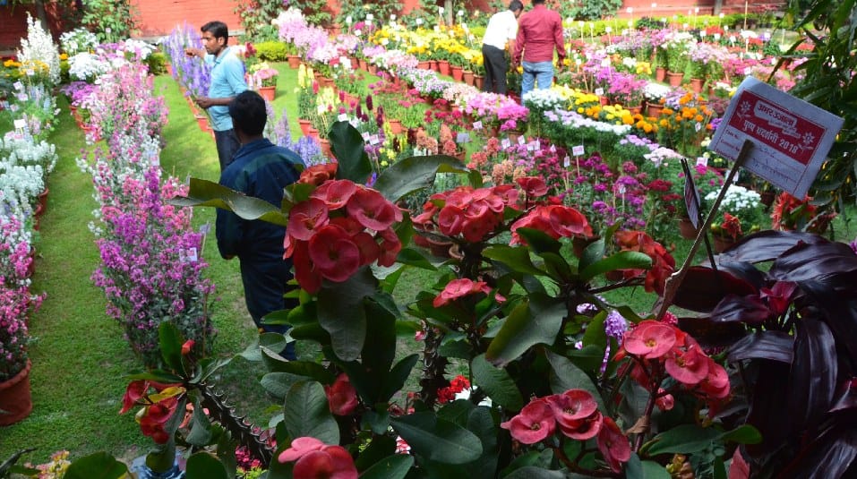 Flower exhibition at Amar ujala office