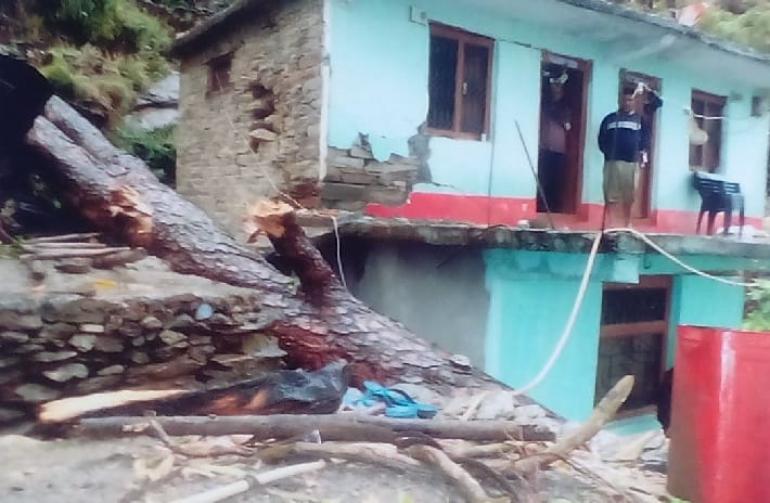 Paddy tree in marginal manganite dropped into residential house