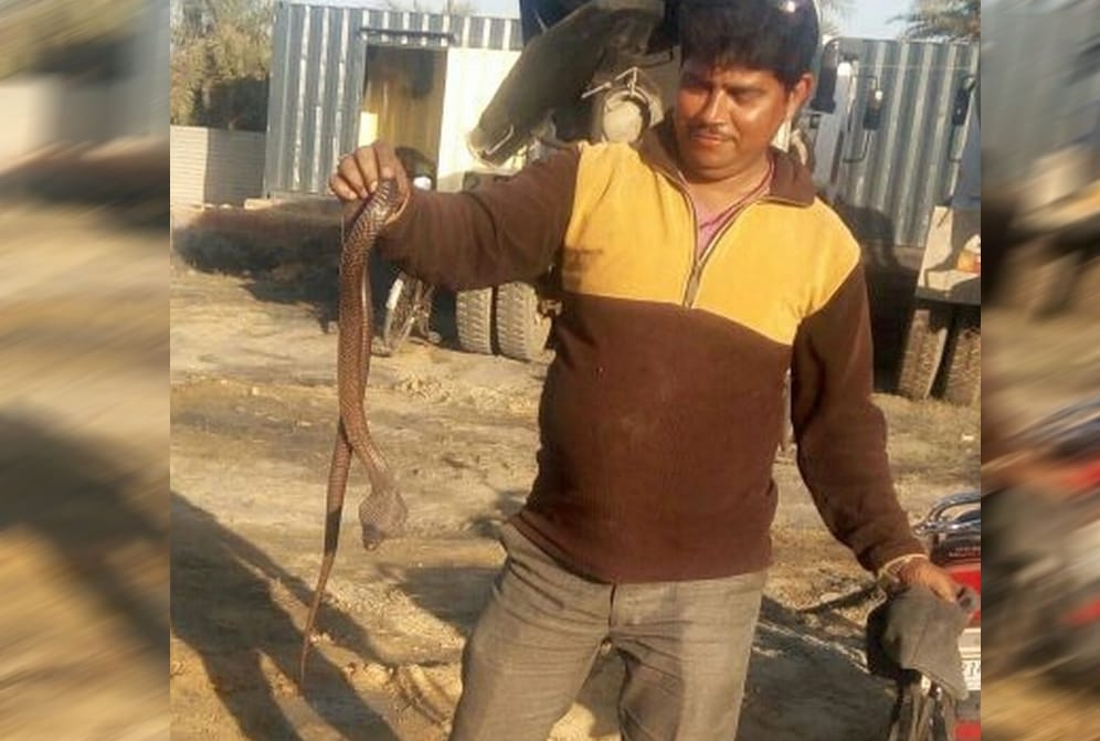 Nagin revenge for naag death on highway in uttarakhand