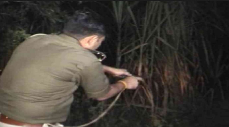 Action on criminals in Yogi Sarkar, so far in this district 66 encounter