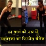 मलाइका अरोरा