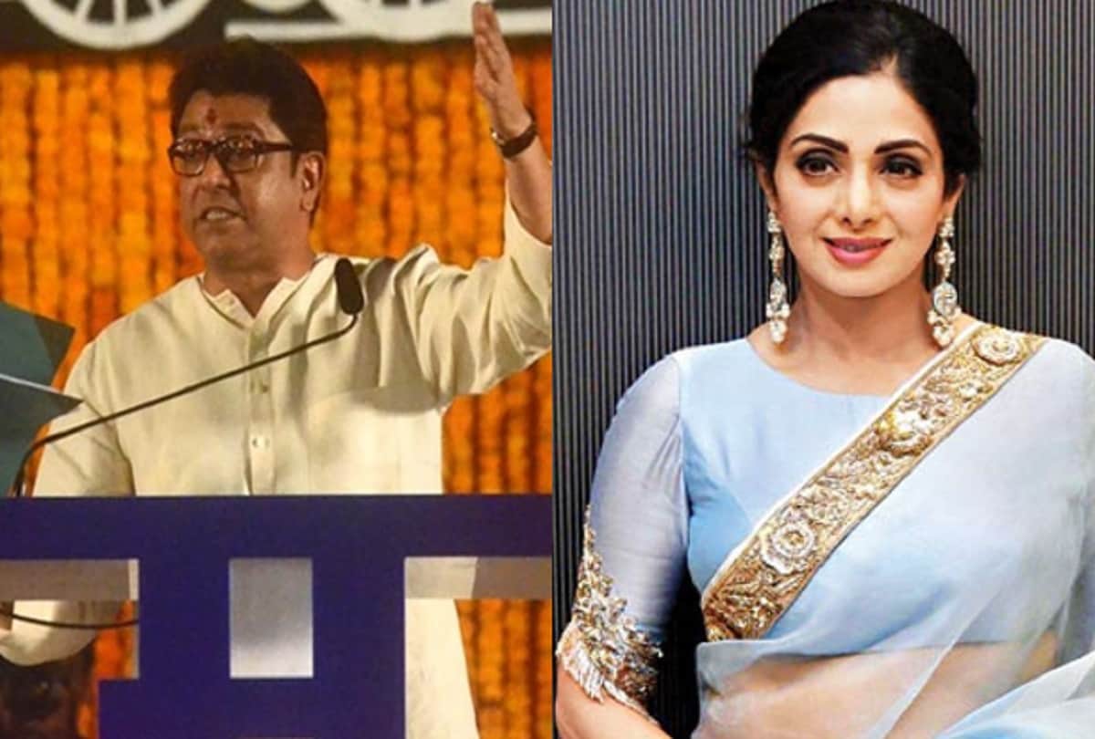 raj thackeray on sridevi death she consumed too much liquor