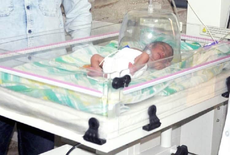 new born baby thrown in plot by mother in ambala