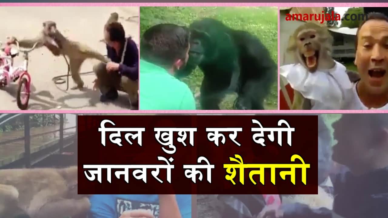 प्रतीकात्मक तस्वीर