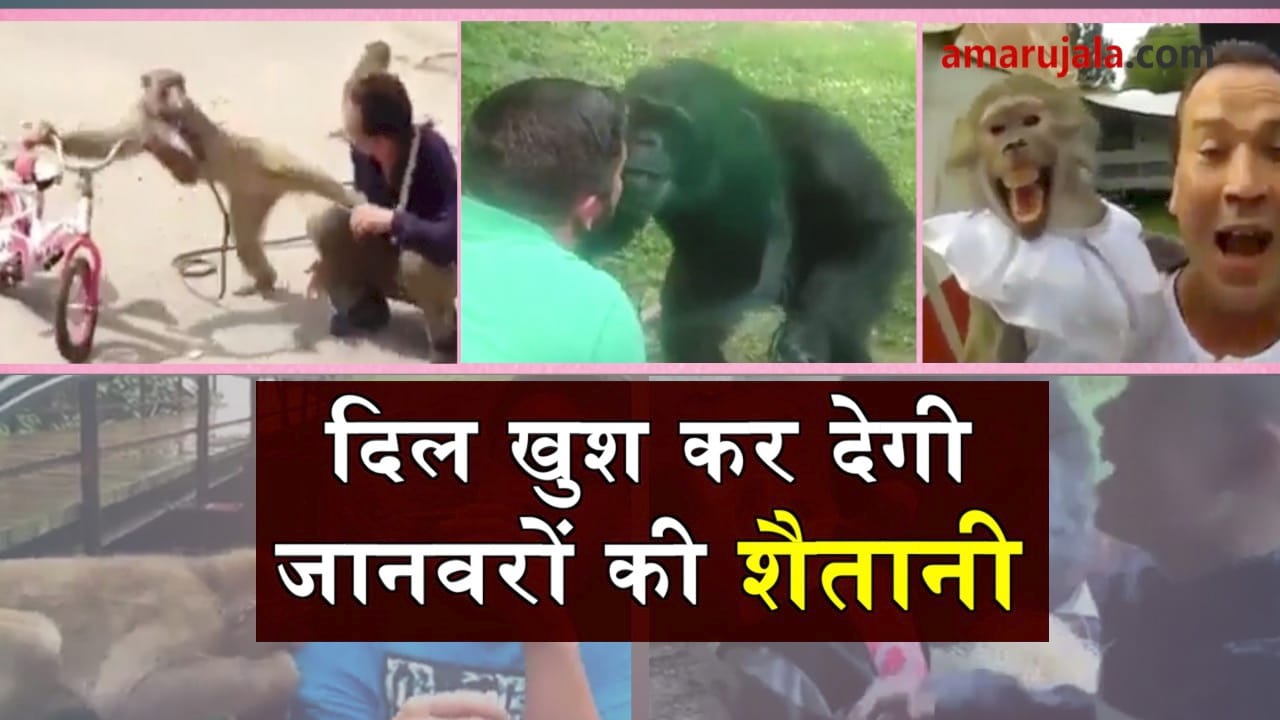 प्रतीकात्मक तस्वीर
