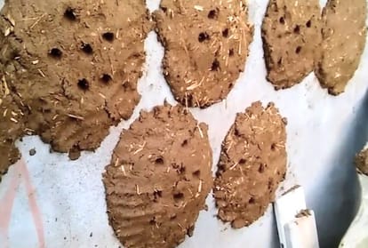 domestic cow dung will protect from dangerous radiation of mobile