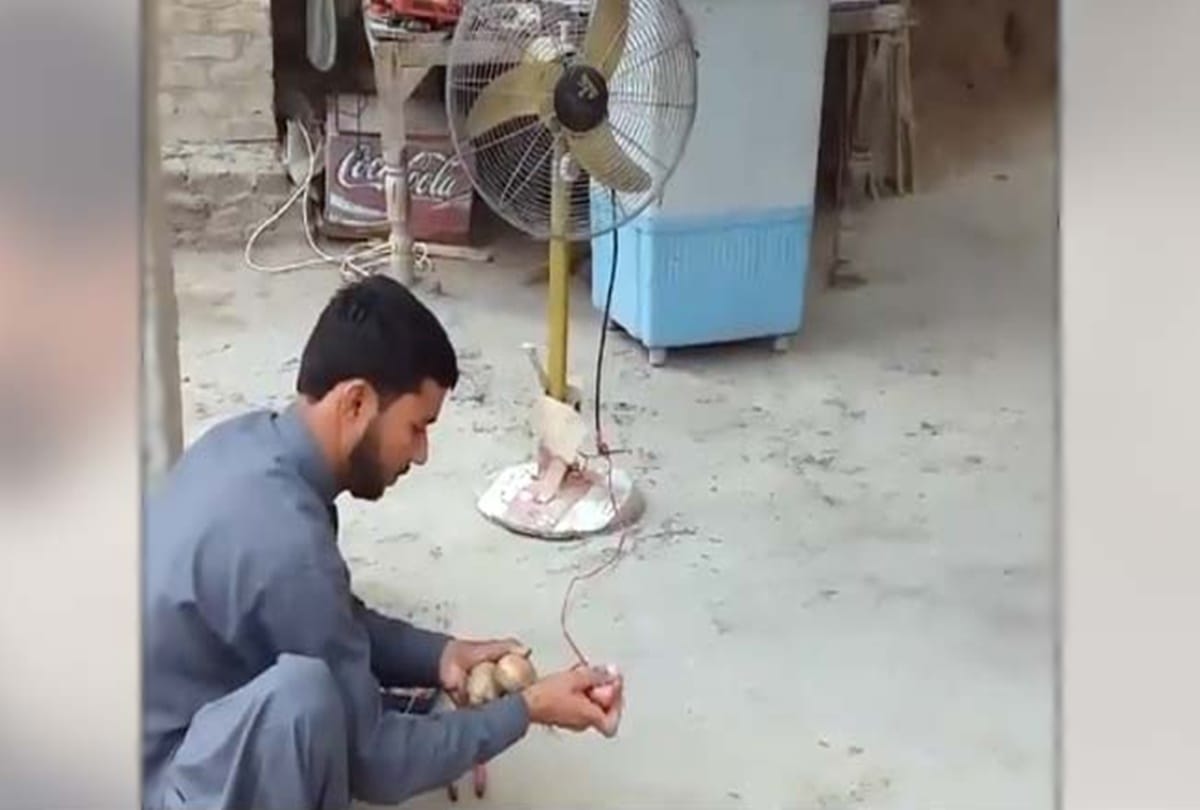 this guy generate electricity with the helpo of onion and potatoes viral video