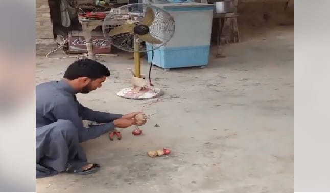 this guy generate electricity with the helpo of onion and potatoes viral video