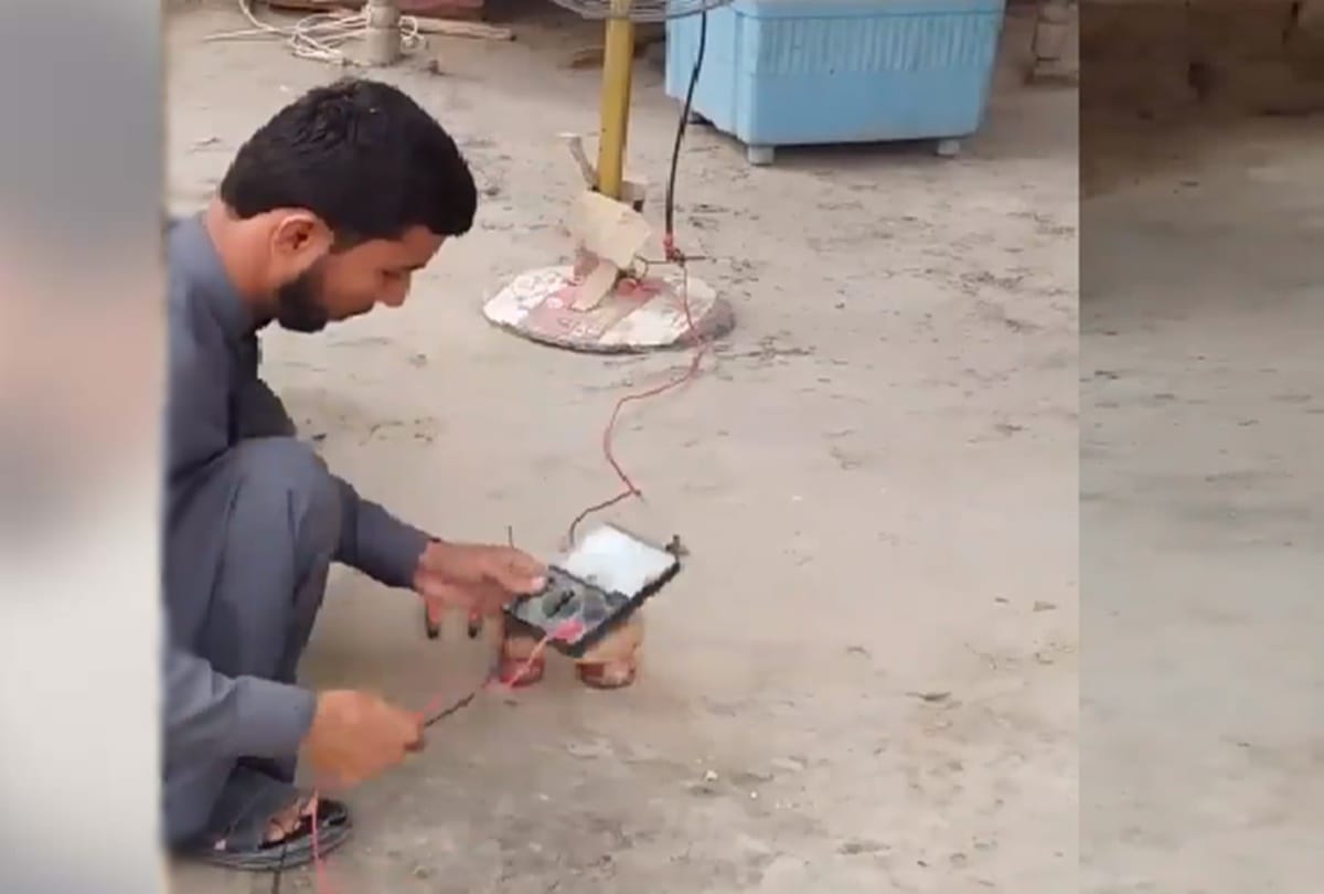 this guy generate electricity with the helpo of onion and potatoes viral video