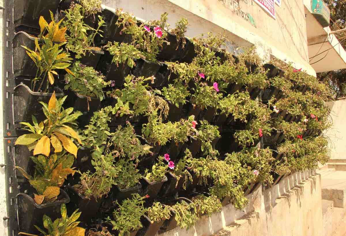 Hanging garden trend in varanasi