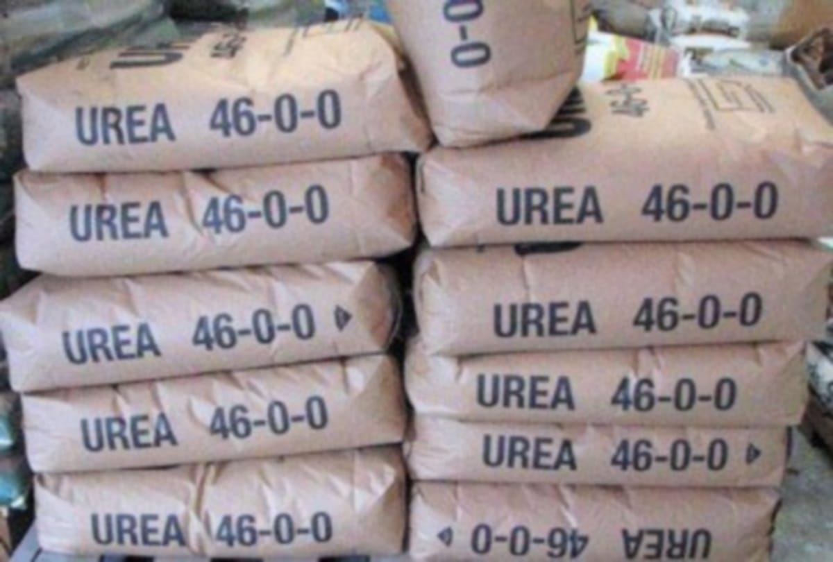 Urea not available to farmers in varanasi