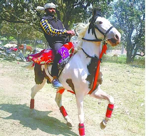Ameer hussain's Horse is costly more than mercedese