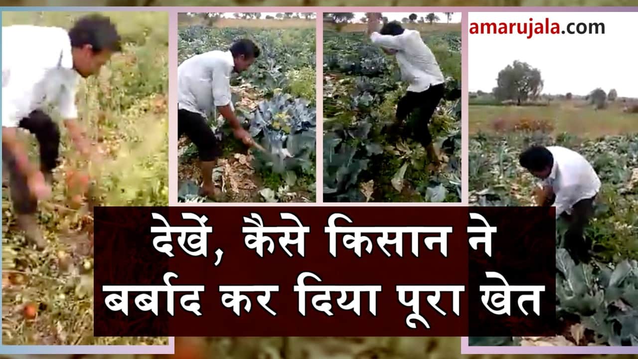 प्रतीकात्मक तस्वीर