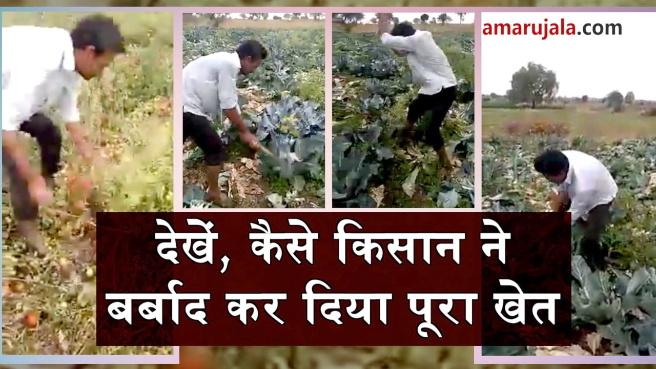 प्रतीकात्मक तस्वीर