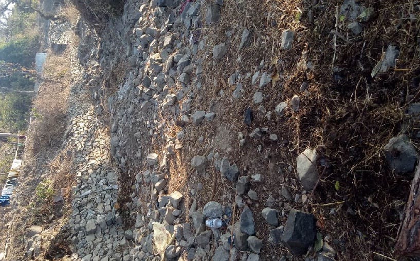 Stack of debris in fertile farms