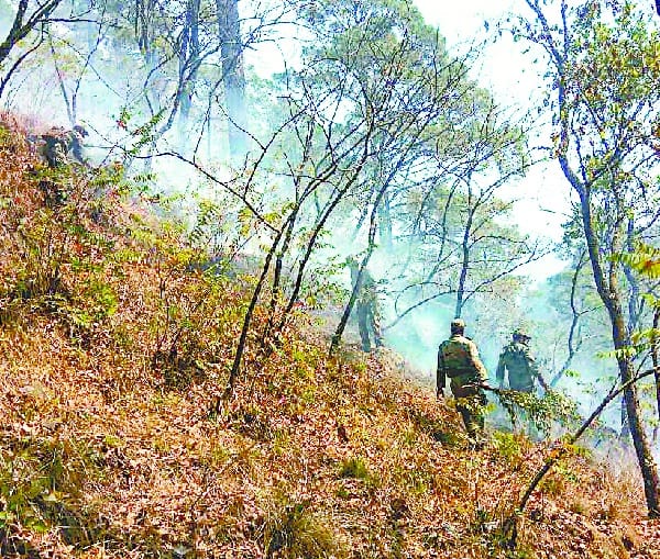 Divyang woman set fire to the forest of Hupali