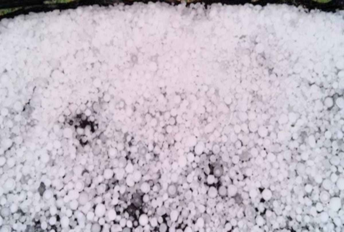 big loss to apple crop in himachal due to heavy hailstorm