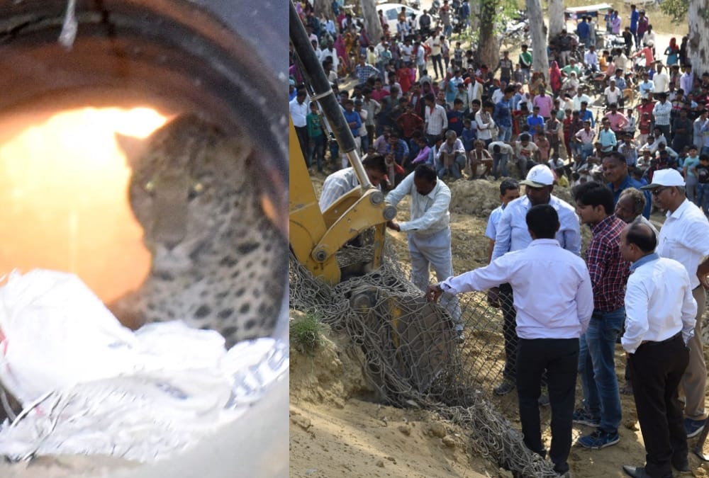 leopard panic in in lucknow.