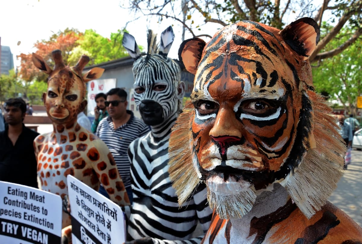 PICS: PETA volunteers masked and body painted as tiger, zebra and giraffe 