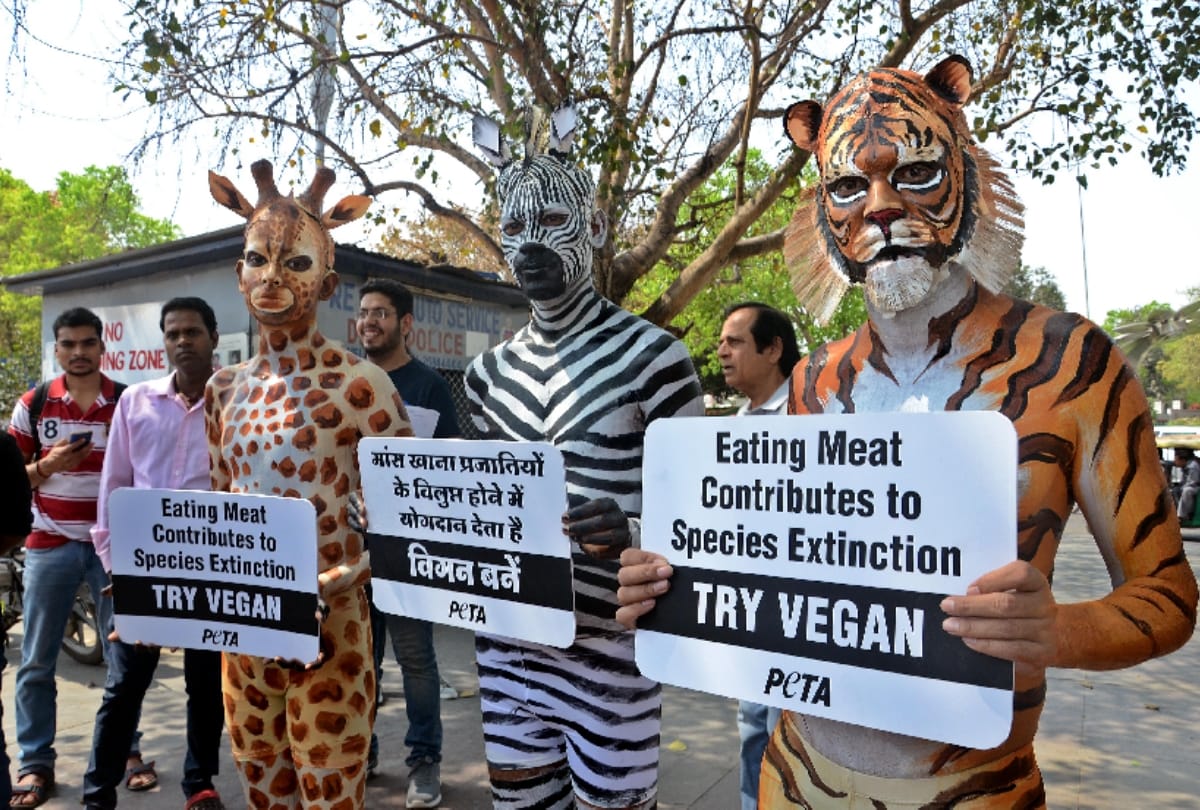 PICS: PETA volunteers masked and body painted as tiger, zebra and giraffe 