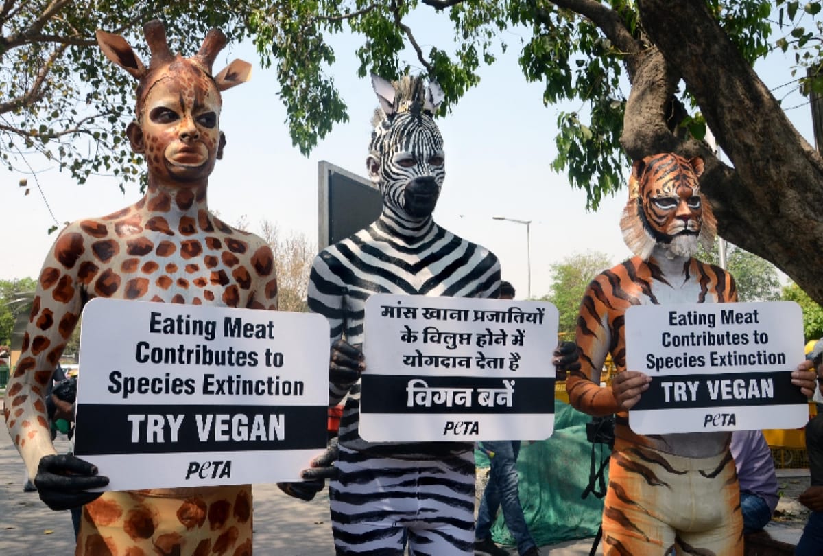 PICS: PETA volunteers masked and body painted as tiger, zebra and giraffe 