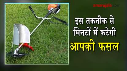 easy way to harvest the crop special story