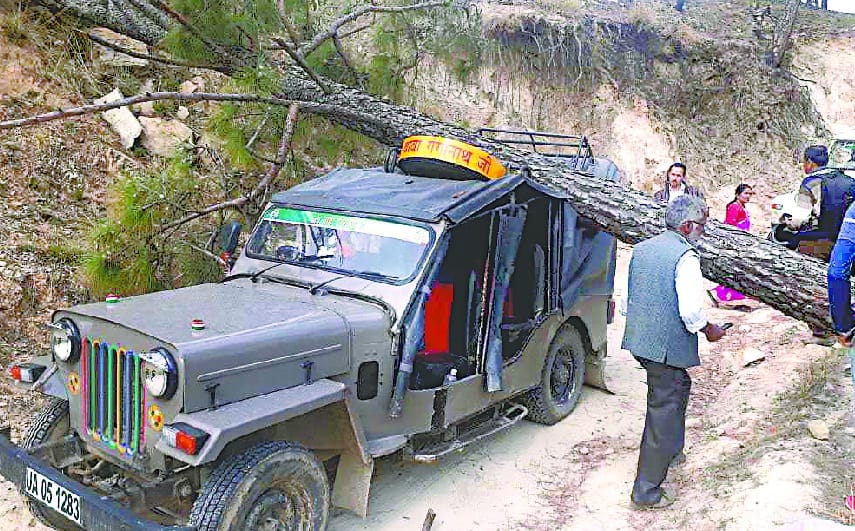 Falling jeeps and laborers' tents fall on tree