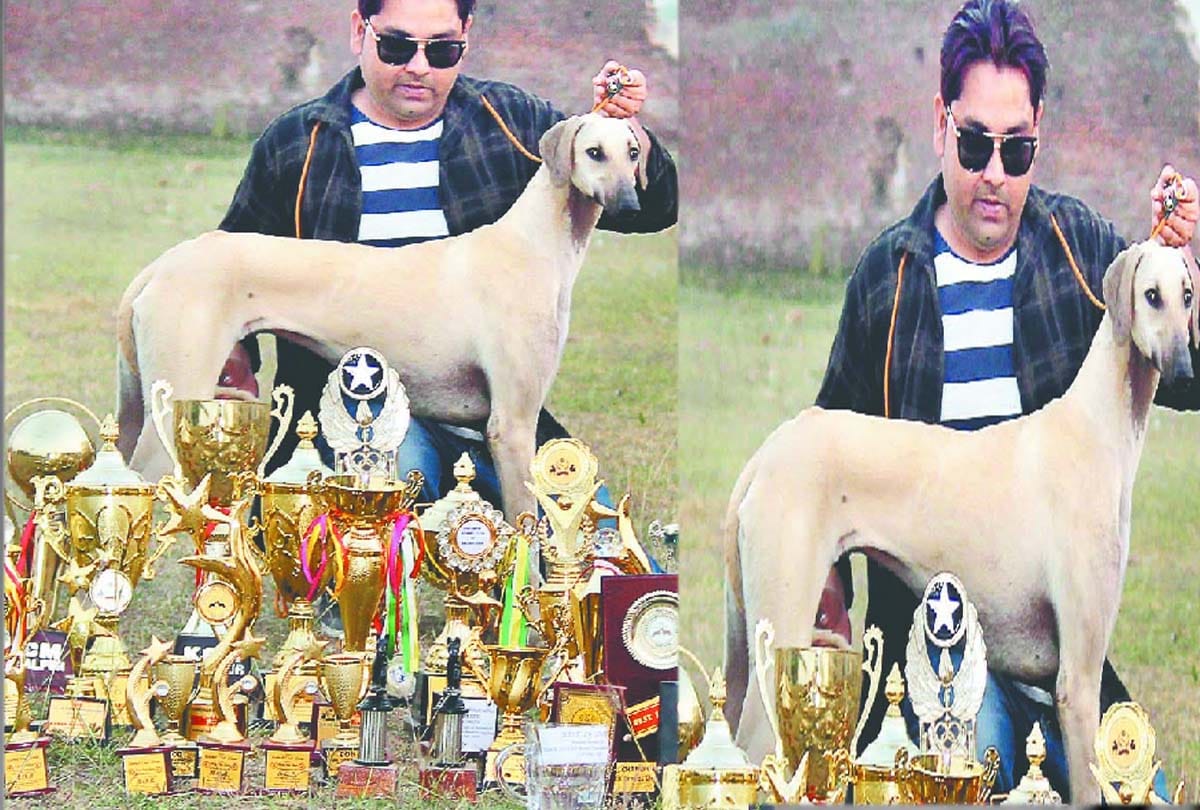 Dog show in chitrakoot