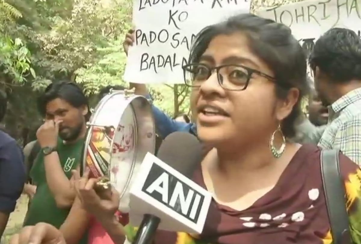 jnu professor atul johri arrested and got bail on conditions, if he fails to follow will go to jail