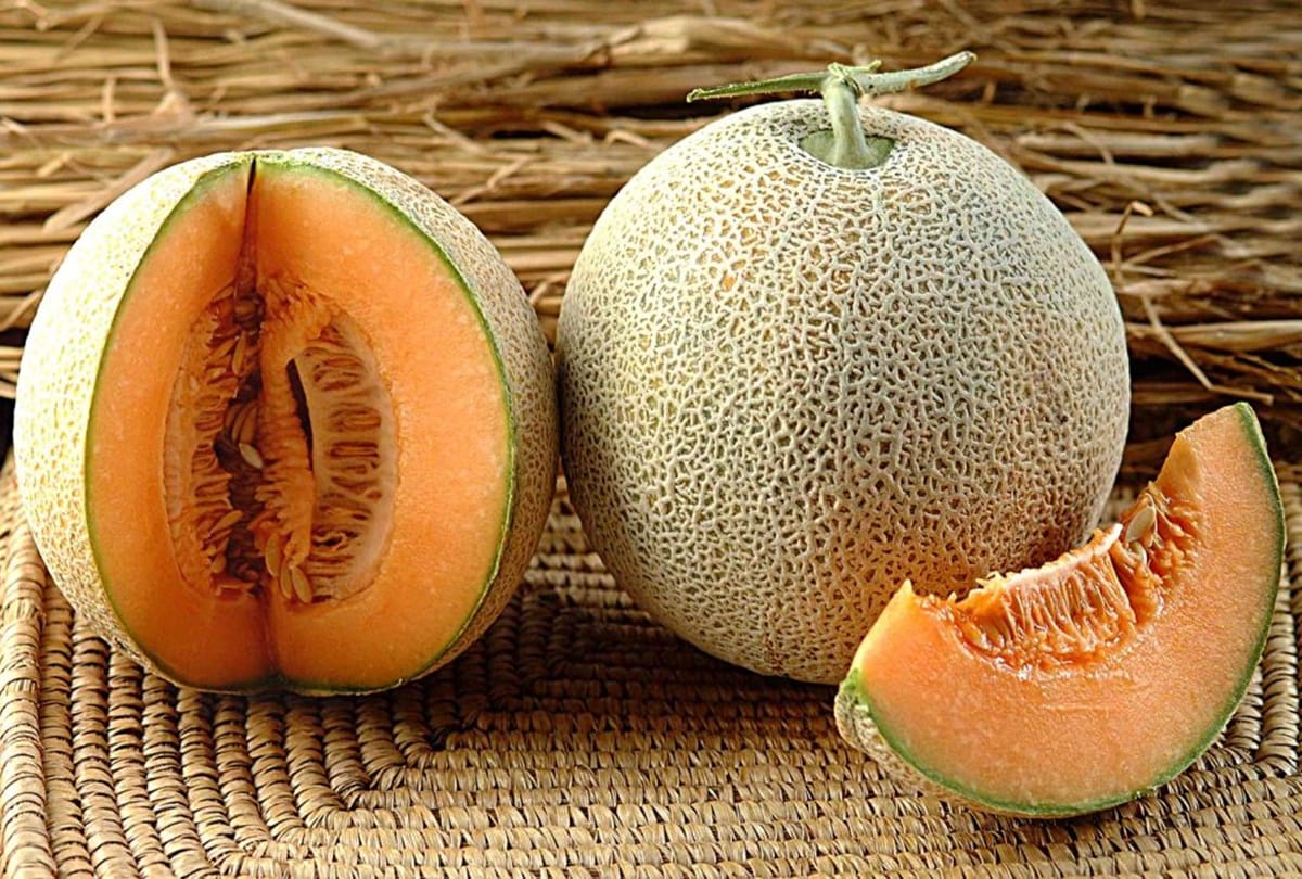 Baghpat famous muskmelon is about to lost from fruit market