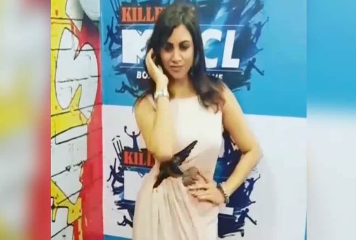 Box Cricket League arshi khan dance video viral
