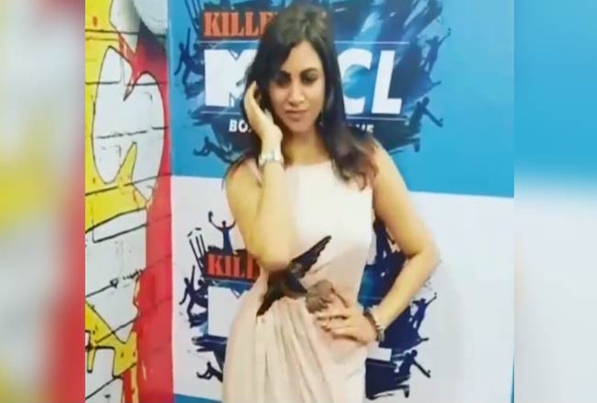 Bigg Boss 11 Contestant Arshi Khan in Fashion Show at Elante Mall Chandigarh