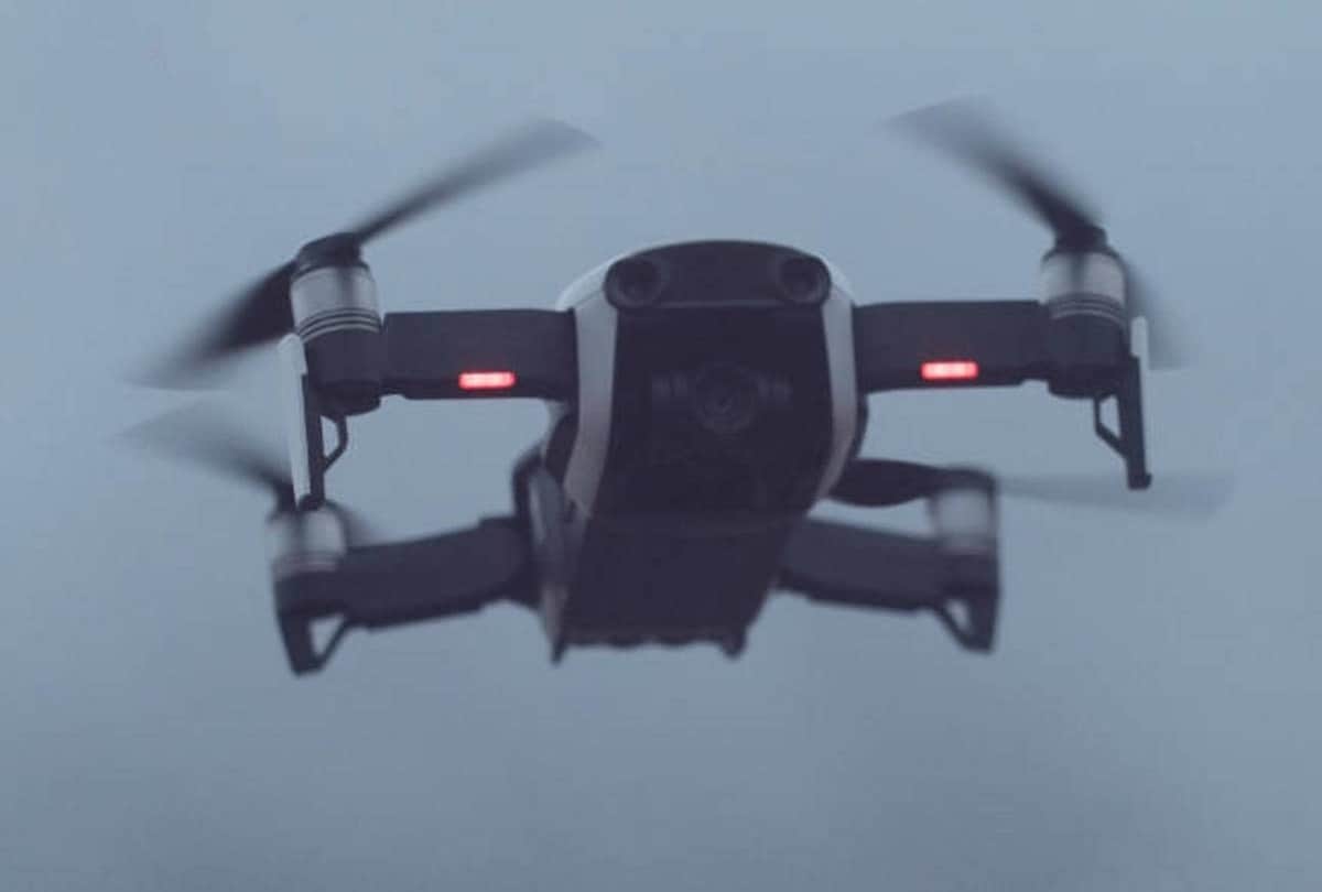 Truth behind viral video of Fallen Bear Cub Climbs Back to Mama