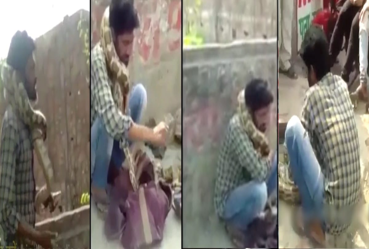 Python clutched the throat of a man at Mau in uttar pradesh