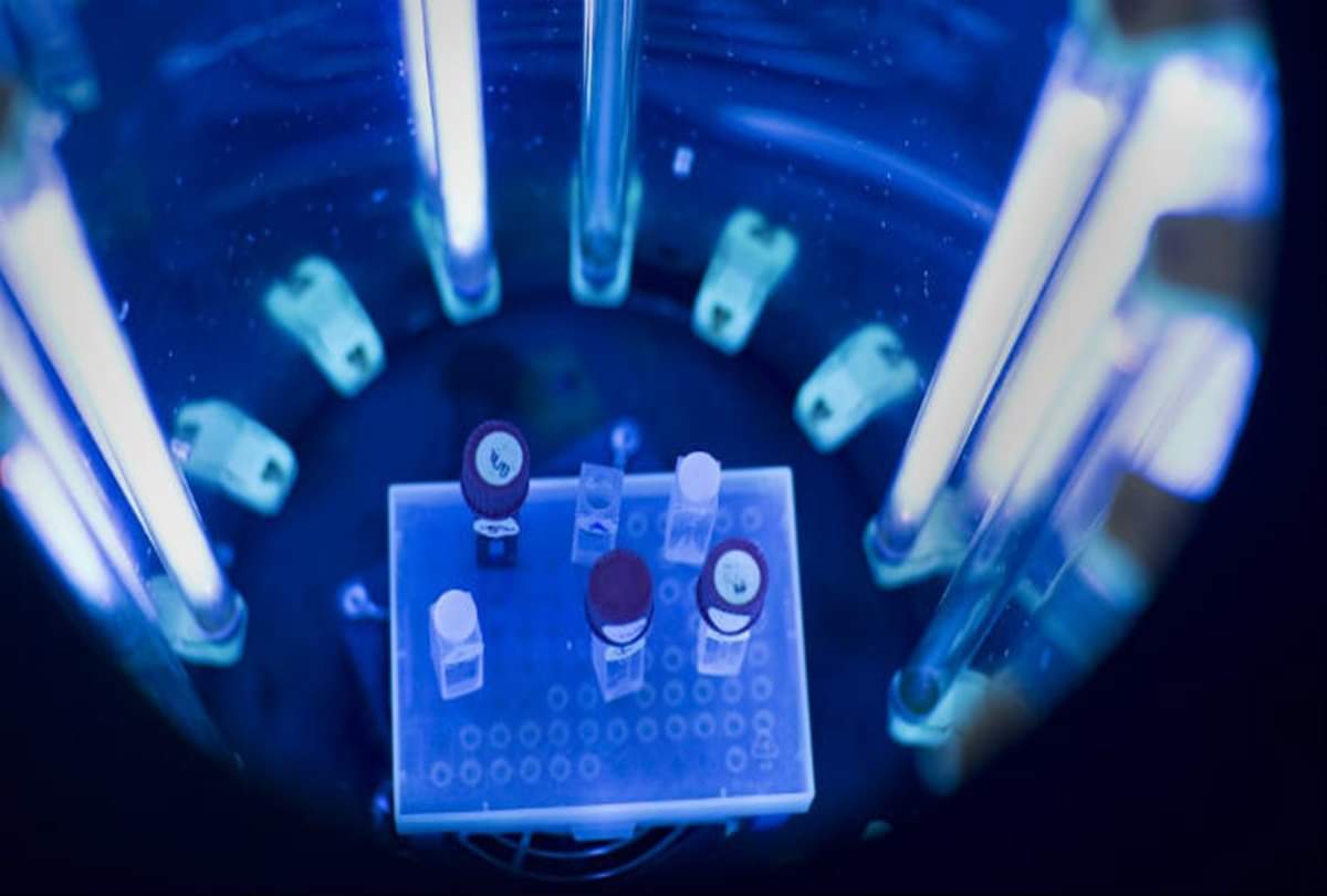 blood sandalwood seeds can cure breast cancer, Research reveals in Patna Bihar, Cancer Treatment