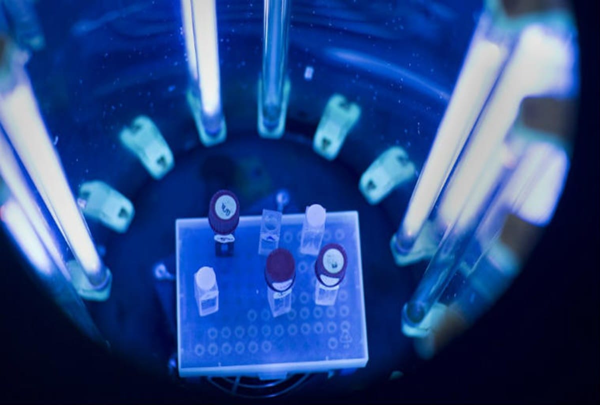 IISc develops bandage that can kill skin cancer cells