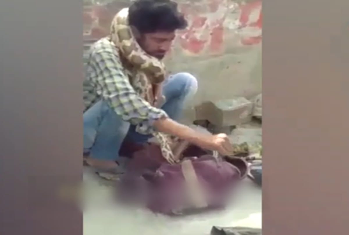 Python clutched the throat of a man at Mau in uttar pradesh