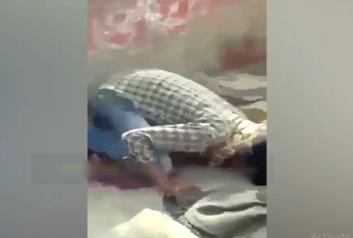 Python clutched the throat of a man at Mau in uttar pradesh