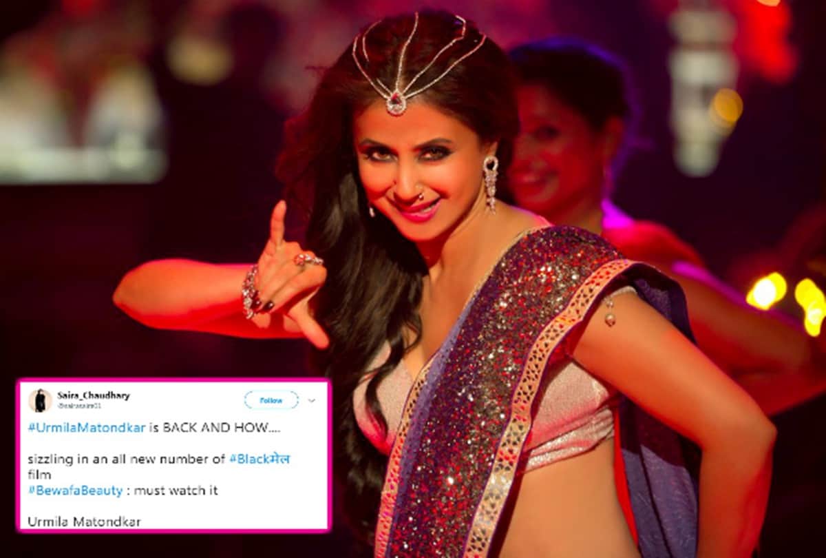 This is how social media reacts after Blackmail Bewafa Beauty song release of Urmila Matondkar
