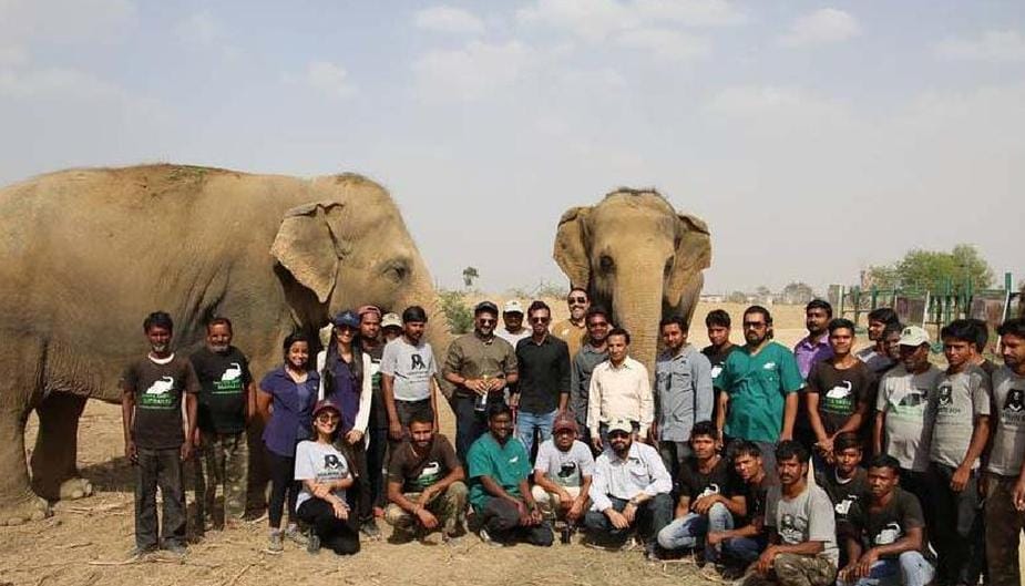 agra yuzvendra chahal spend time with animals