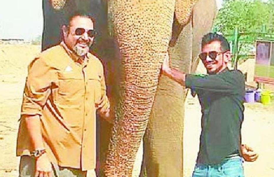 agra yuzvendra chahal spend time with animals