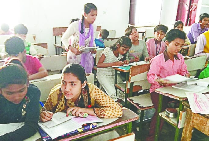 Copy of the Basic Education Council exams
