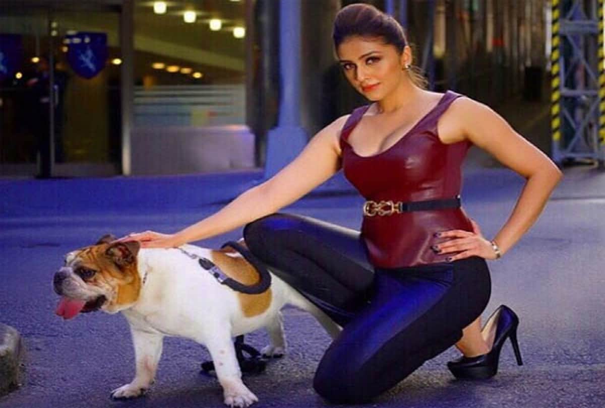 Actress Aarti Chhabria has no film in bollywood now