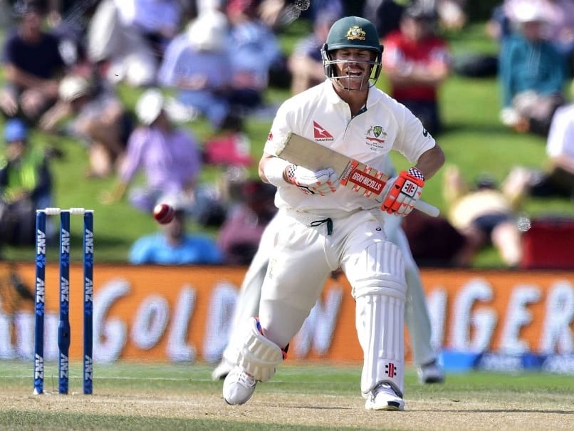 warner fight with audience in cape town test