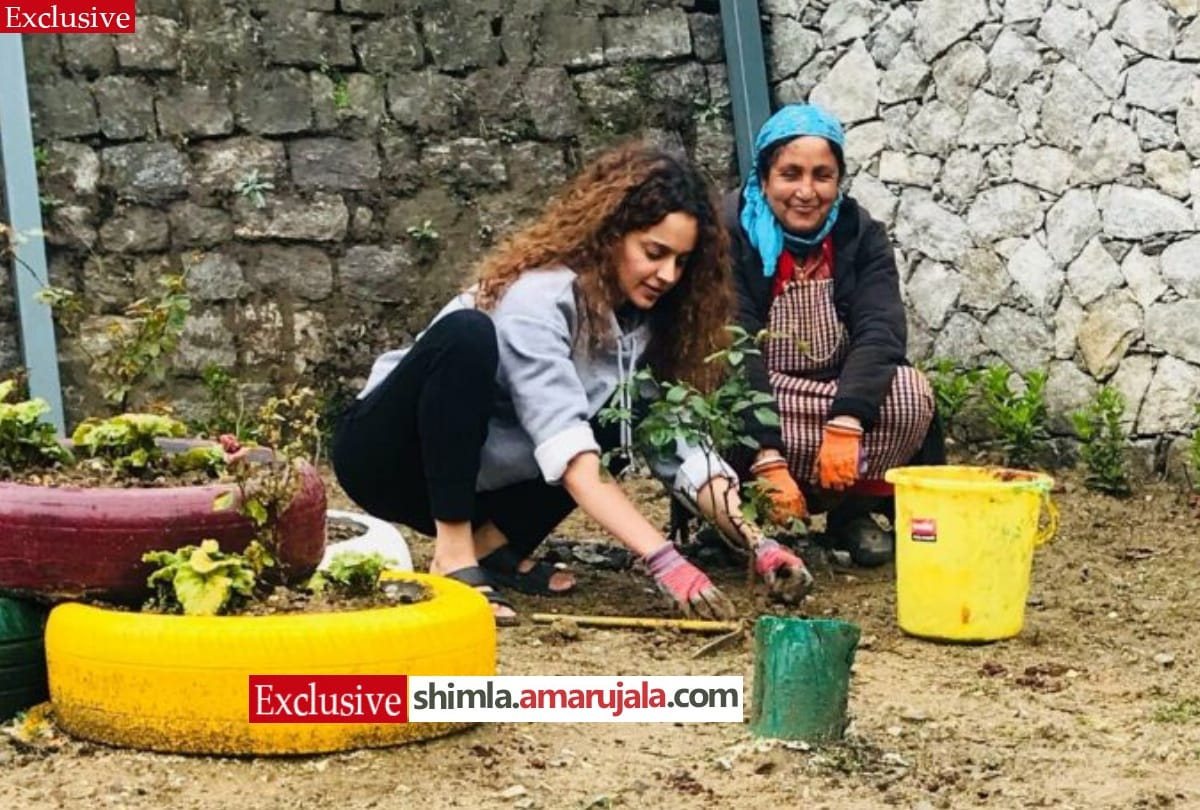 bollywood queen kangana ranaut voter card at two places himachal pradesh and maharashtra